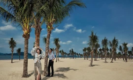 Á hậu Dương Tú Anh lộng lẫy giữa đại lộ xa hoa bên vịnh Hạ Long 