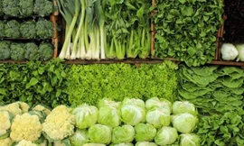 Các loại rau cải chữa bệnh tốt như thế nào?