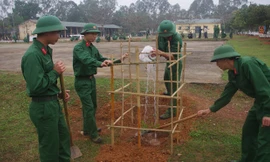 Sư đoàn 324 sôi nổi các hoạt động Tết Ất Mùi