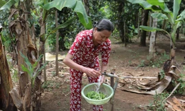 200 hộ dân tại An Khê, Quảng Trị vui mừng đón nước sạch về