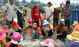 Săn hải sâm dưới đáy đại dương