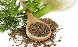 12 vị thuốc tự nhiên cải thiện bệnh trào ngược dạ dày