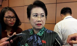 Bà Phan Thị Mỹ Thanh trong lần trả lời phỏng vấn báo chí bên hành lang Quốc hội (ảnh IT).