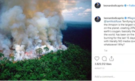 Status kêu gọi ủng hộ quỹ khôi phục rừng Amazon của nam diễn viên Leonardo DiCaprio nhận được sự hưởng ứng từ hàng triệu người.