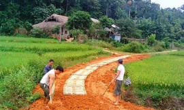 Độc đáo đường “bê tông tre” đưa học sinh đến trường