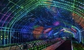 Vườn rau kỹ thuật số chiếm một khoảng rộng trong khu vườn Midtown tại Tokyo.