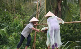 Chú Khá hỗ trợ người dân đi qua cầu tạm Út Ốm trong những ngày mưa