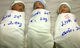 Ba em bé chào đời kháu khỉnh. Ảnh: Phú Tân