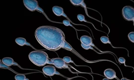 Các yếu tố ảnh hưởng đến chất lượng “tinh binh”