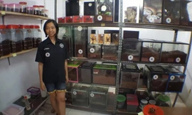 Cô gái 28 tuổi với sở thích cực độc