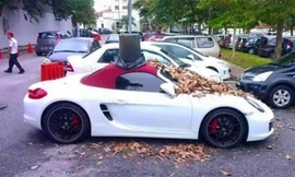 Chiếc Porsche bị đổ đầy lá khô và chụp thùng rác lên nóc. Ảnh: Paultan.