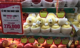 Táo Aomori – món quà Tết độc đáo, thiết thực mà nhiều khách hàng lựa chọn