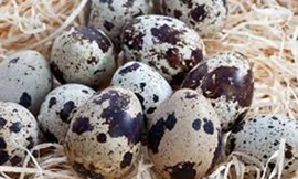 Ăn trứng nào bổ nhất?