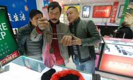 Nuôi cả gia đình bằng nghề bắt kiến 