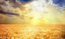 Đột phá y học: Xét nghiệm ung thư bằng ánh mặt trời