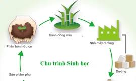 Cách doanh nghiệp Nhật Bản bảo vệ 'nguồn vốn tự nhiên'