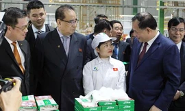 An Phát Holdings vinh dự đón đoàn Triều Tiên đến thăm và làm việc