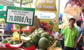 Mứt vỏ bưởi Thái đắt gấp 10 lần bưởi da xanh Việt?