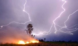 Ảnh minh hoạ: Internet