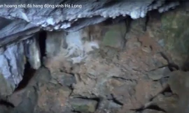 Tan hoang nhũ đá hang động vịnh Hạ Long