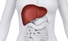 Dấu hiệu bệnh tật đằng sau triệu chứng nấc cụt khó hiểu