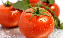 6 điều nên làm để ngừa ung thư tiền liệt tuyến