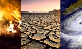 Việt Nam là nước dễ bị ảnh hưởng do biến đổi khí hậu