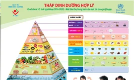 Sữa học đường đã có tiêu chuẩn chính thức