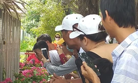 Du khách thích thú chiêm ngưỡng cặp rắn hổ mây khủng