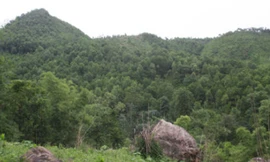 Núi rừng Đá Cóc vẫn còn ám ảnh câu chuyện rùng rợn.