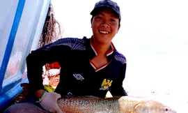 Cá nghi sủ vàng quý hiếm đang được anh Trải bảo quản tại nhà. Ảnh: Phúc Hưng.