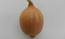 Hành không cay mắt - phát minh mới của người Nhật