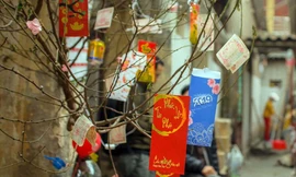 Cành đào thắp lửa Tết ở xóm chạy thận giữa lòng Thủ đô