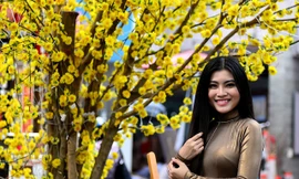 Thiếu nữ Sài Gòn thướt tha tà áo dài xuống phố ông đồ
