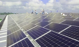 Dự án Sao Mai Solar PV1 đang được Sao Mai triển khai gấp rút