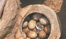 Trứng ngàn năm tuổi bất ngờ tìm thấy trong chiếc vại ở ngôi mộ cổ