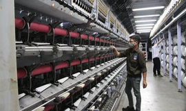 Nỗ lực không ngừng nghỉ để vận hành trở lại NMXS Đình Vũ