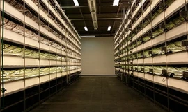 Các trang trại thẳng đứng đáng chú ý trên thế giới