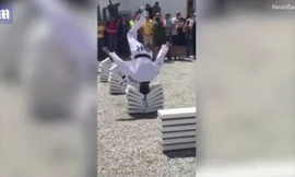Võ sĩ Taekwondo Áo dùng 'thiết đầu công' đập vỡ 90 tấm bê tông