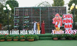 Thưởng lãm sắc đẹp của thung lũng ngàn hoa