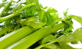 Rau cần là thực phẩm giúp giảm mỡ máu hiệu quả.