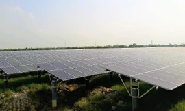 'Sếu đầu đàn' năng lượng sạch