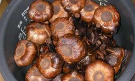 Tỏi tép lên men bằng nồi cơm điện trong 15 ngày. Ảnh: Leo's Black Garlic. 