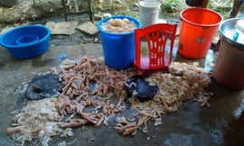 Theo nội dung chia sẻ thì tác giả vô tình bắt gặp cảnh tượng kinh hãi này sau khi anh và cơ quan đang đi nghỉ mát và dừng chân tại cửa hàng nem chua H.C (Thanh Hóa). 