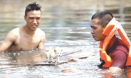 Hình ảnh chú mèo con bị đồn đã chết trong phim “Vừa đi vừa khóc”. Ảnh: Gia Đình và Xã Hội