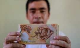 Săn lùng tiền lì xì in hình con heo