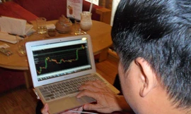 Nhà đầu tư Forex luôn ôm laptop suốt ngày đêm - Ảnh: Mai Phương 