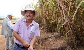 Nếu ông chủ Vingroup tạo cho mình một đẳng cấp riêng trong ngành bất động sản cao cấp thì bầu Đức lại có "thú vui" định giá trên thị trường. 