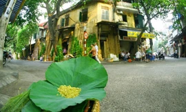 Khoảnh khắc Thu Hà Nội