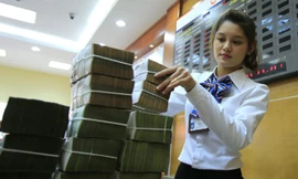 Trong năm 2017 và đầu 2018, dòng vốn đầu tư nước ngoài tham gia mạnh vào mua cổ phần một số ngân hàng thương mại Việt Nam, tạo nên những giá trị thặng dư lớn.